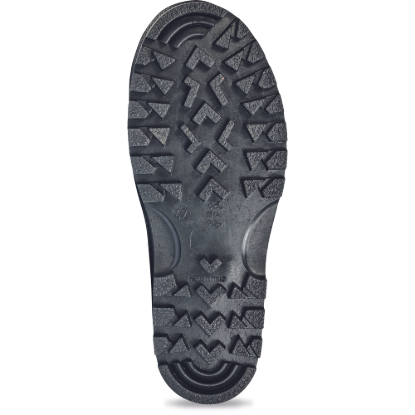 8959968903198-02040011_POLAR_sole_CERVA 2018_20054.tif.png
